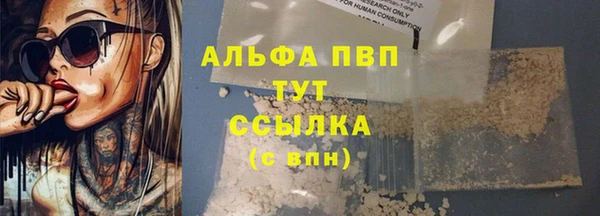 экстази Богданович