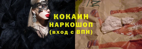 мдпв Богородск