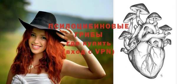 экстази Богданович