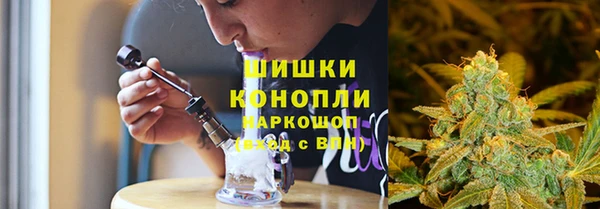 мдпв Богородск