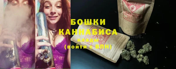 стафф Богородицк