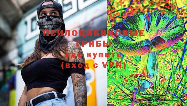 стафф Богородицк