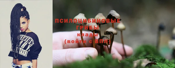 мдпв Богородск