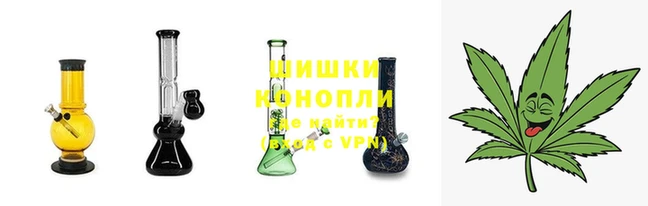 стафф Богородицк