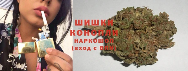 стафф Богородицк
