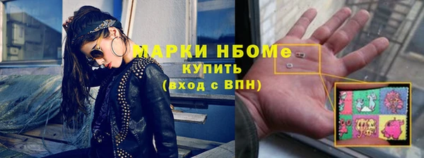 мдпв Богородск