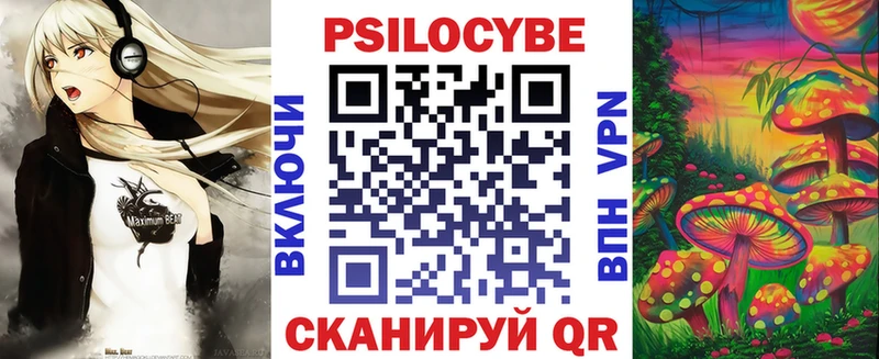 где продают   Сургут  Псилоцибиновые грибы Psilocybe 